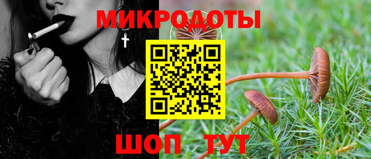 Псилоцибиновые грибы GOLDEN TEACHER Щёлково